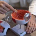 Galleria Dr. Luca Zanolini foto 8